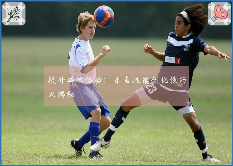 提升游戏体验：乐鱼性能优化技巧大揭秘